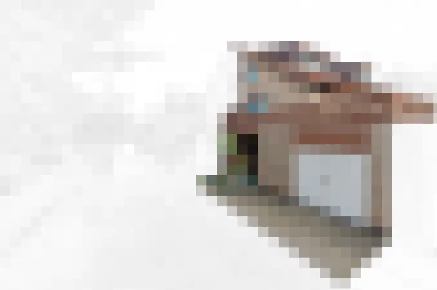 Werve 60 Maasland thumbnail 6