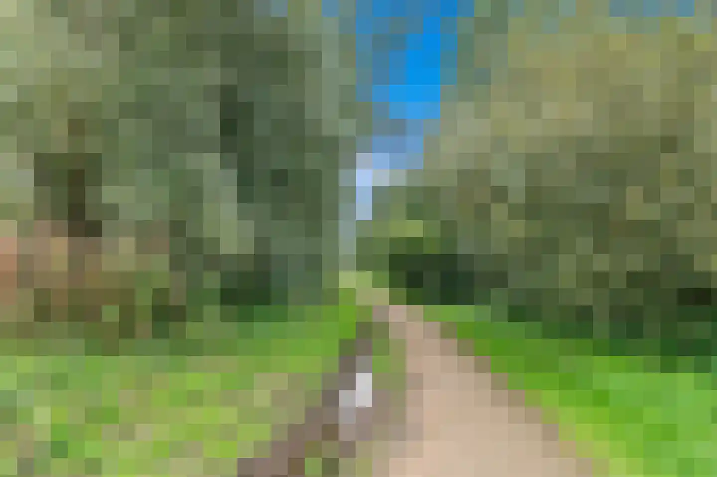 Werve 60 Maasland thumbnail 60