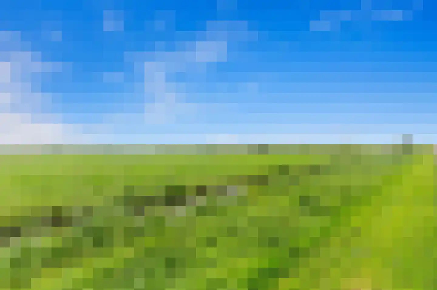 Werve 60 Maasland thumbnail 63