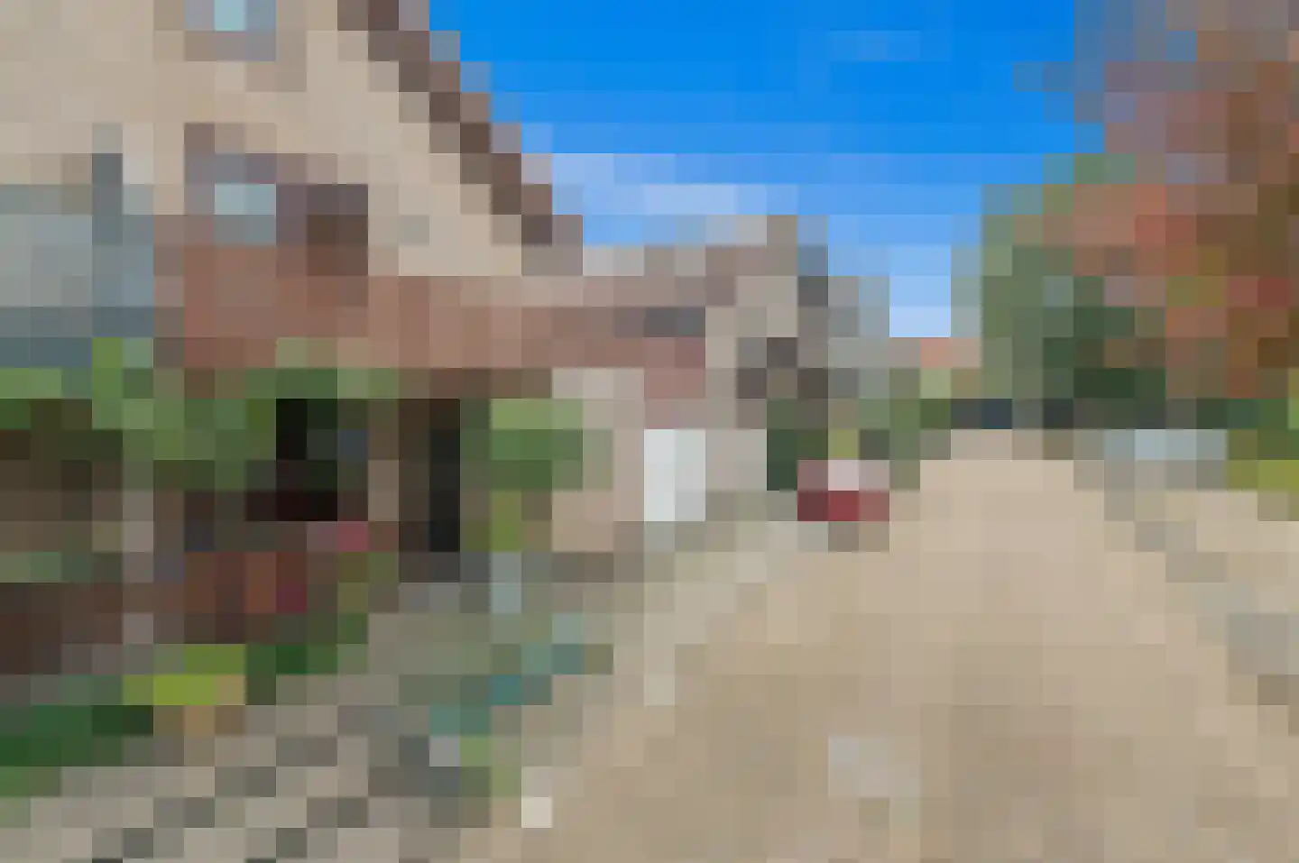 Werve 60 Maasland thumbnail 7