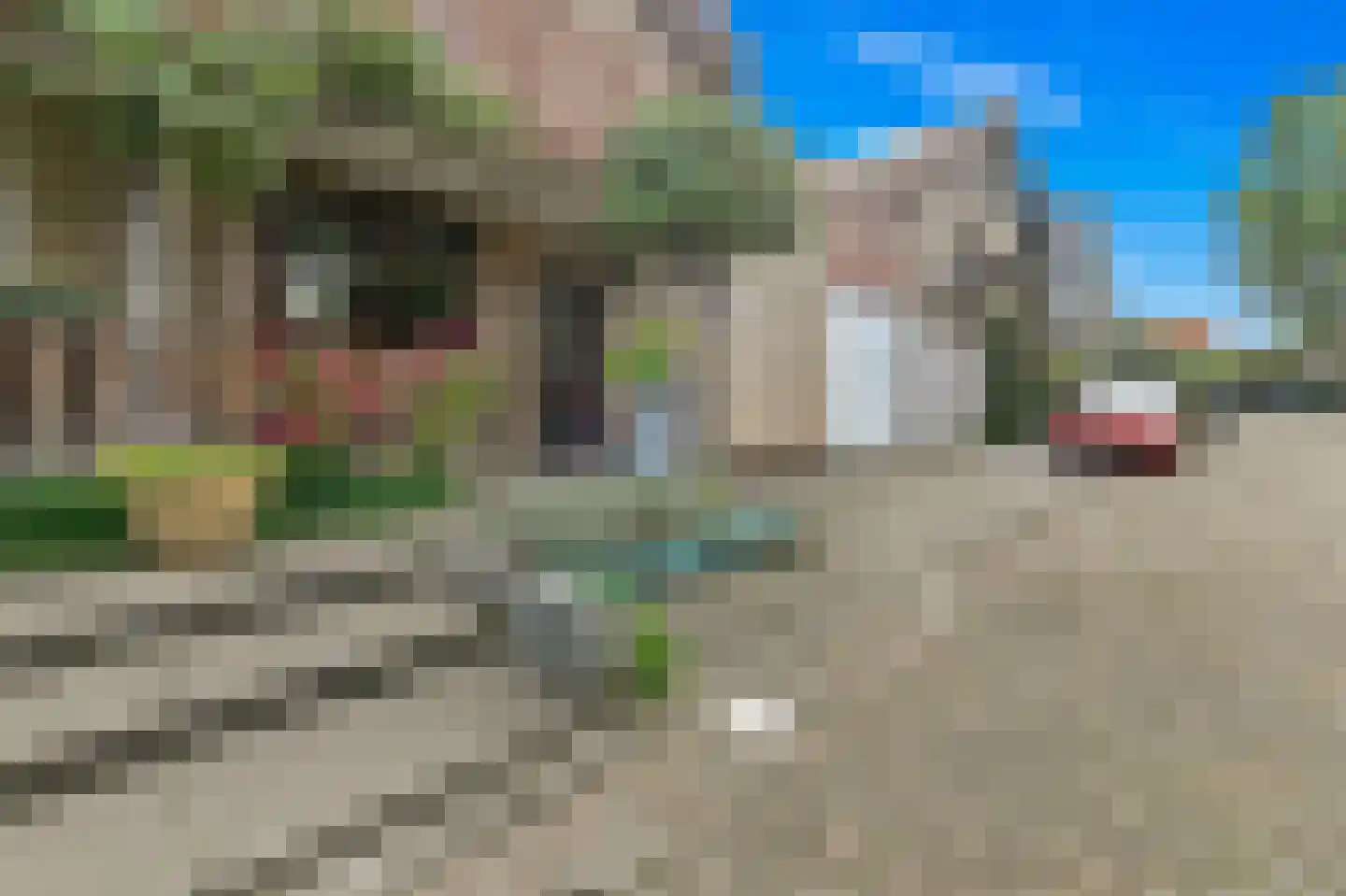 Werve 60 Maasland thumbnail 9