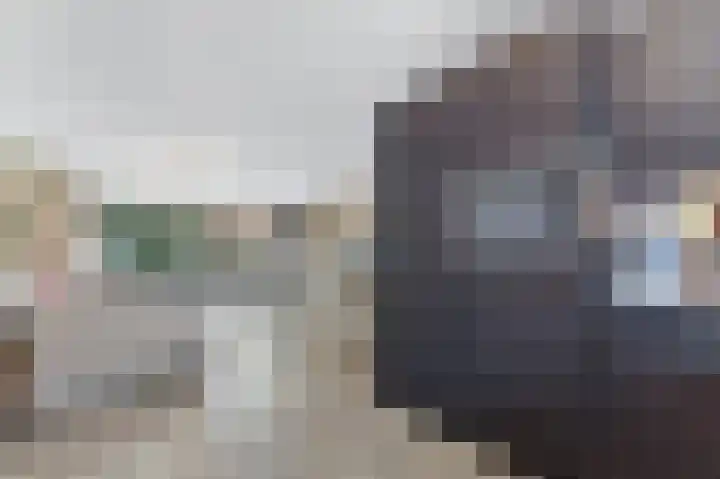 Werve 90 Maasland thumbnail 11