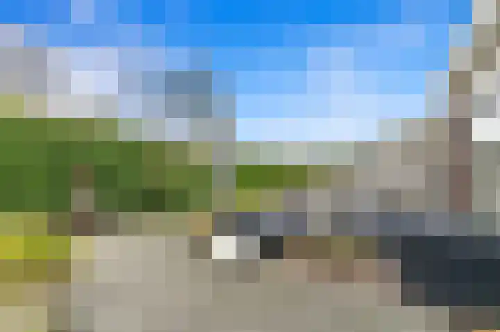 Werve 90 Maasland thumbnail 13
