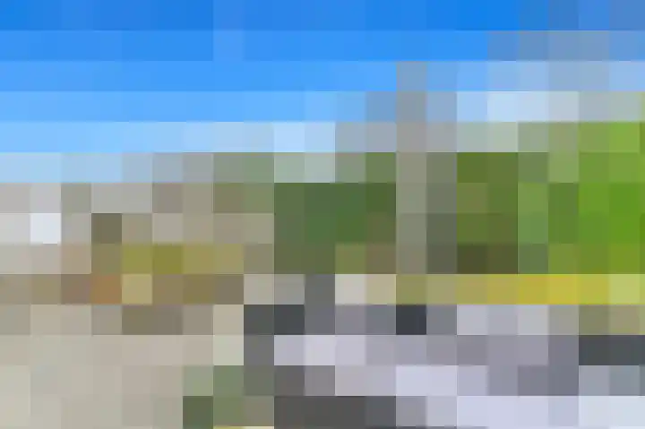 Werve 90 Maasland thumbnail 14