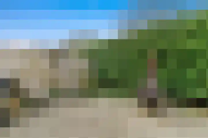 Werve 90 Maasland thumbnail 16