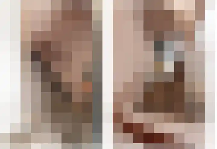 Werve 90 Maasland thumbnail 19