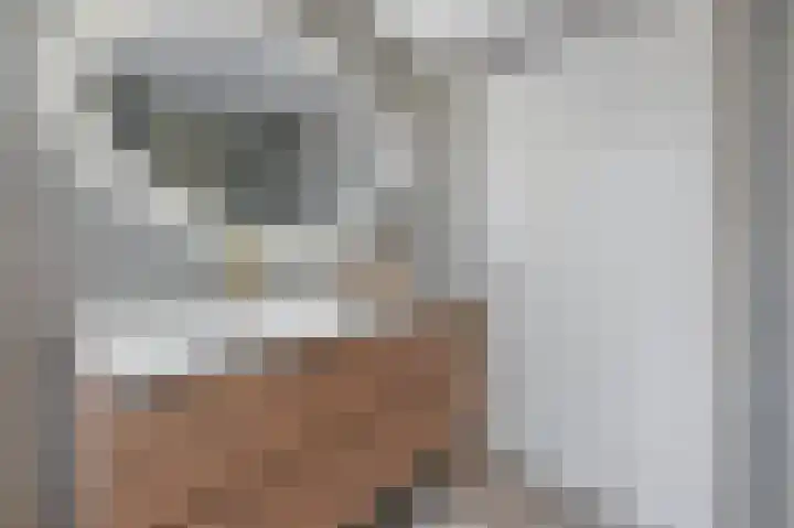 Werve 90 Maasland thumbnail 23