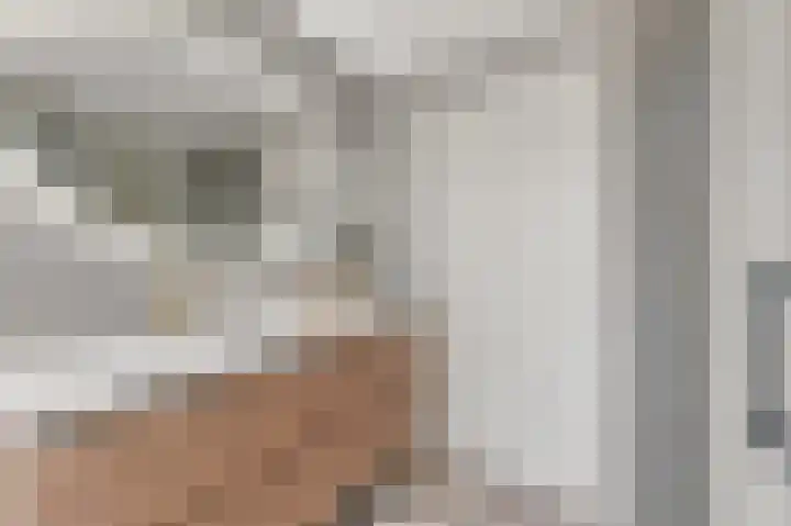 Werve 90 Maasland thumbnail 25
