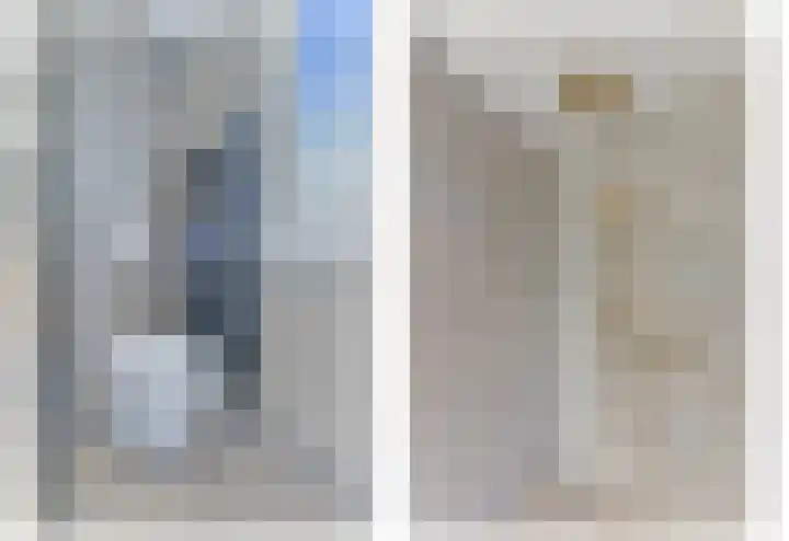 Werve 90 Maasland thumbnail 26