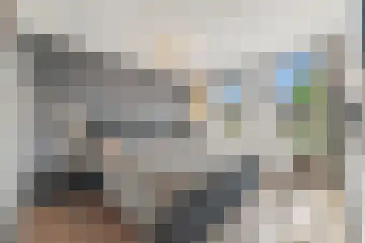 Werve 90 Maasland thumbnail 27