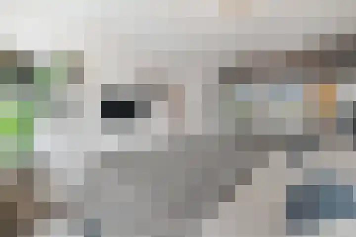 Werve 90 Maasland thumbnail 28