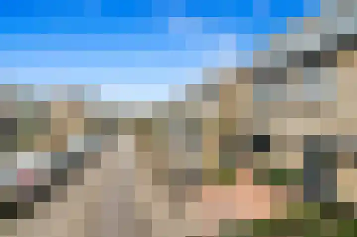 Werve 90 Maasland foto 3