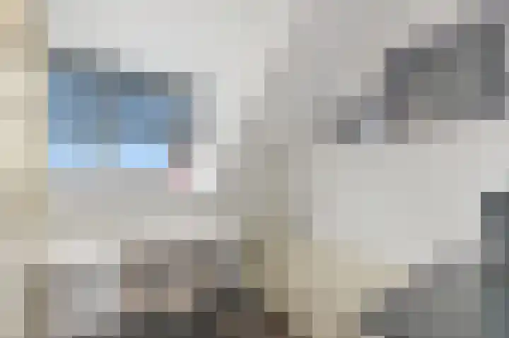 Werve 90 Maasland thumbnail 33