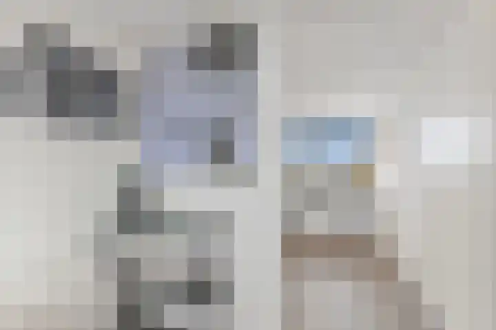 Werve 90 Maasland thumbnail 34