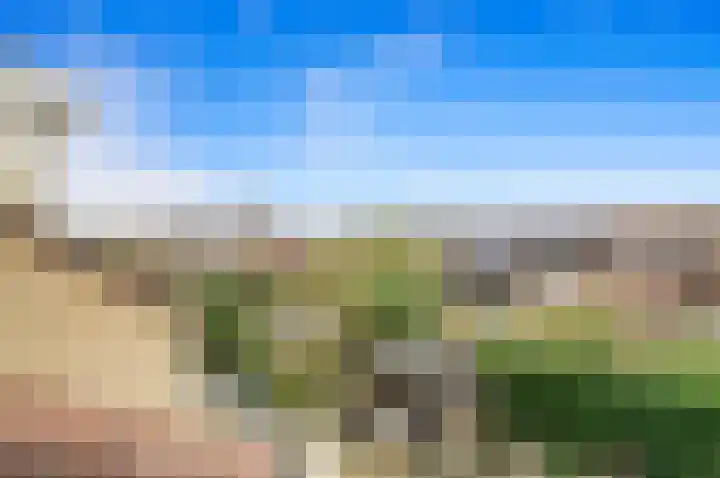 Werve 90 Maasland thumbnail 35