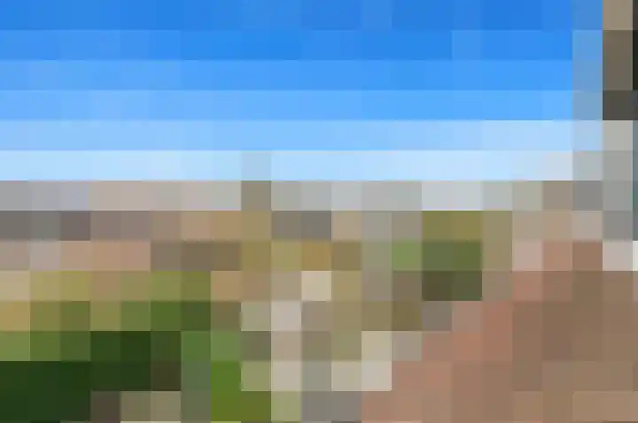 Werve 90 Maasland thumbnail 36
