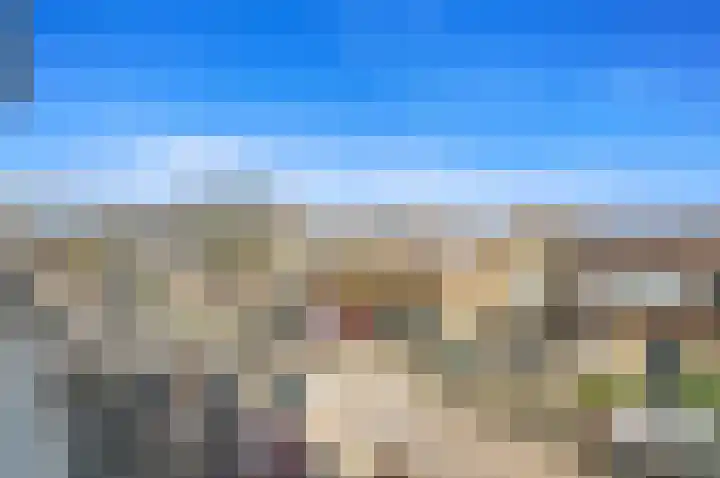 Werve 90 Maasland thumbnail 38
