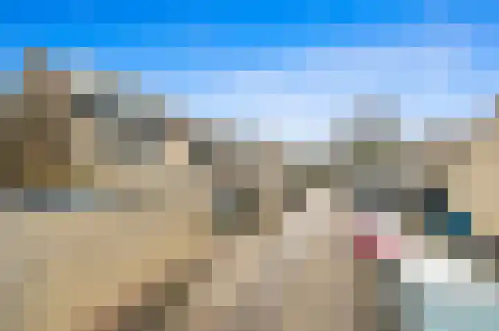 Werve 90 Maasland thumbnail 4