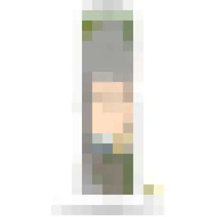 Werve 90 Maasland thumbnail 40