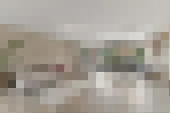 Werve 90 Maasland thumbnail 6