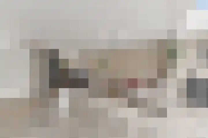 Werve 90 Maasland thumbnail 7