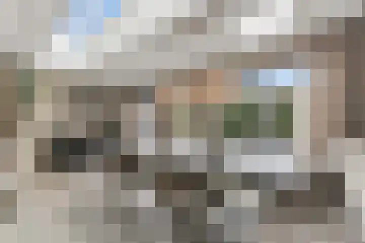 Werve 90 Maasland thumbnail 8