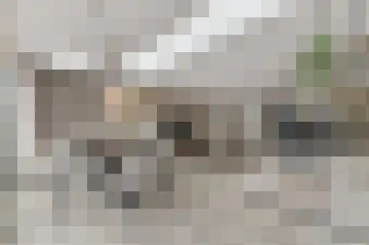Werve 90 Maasland thumbnail 9