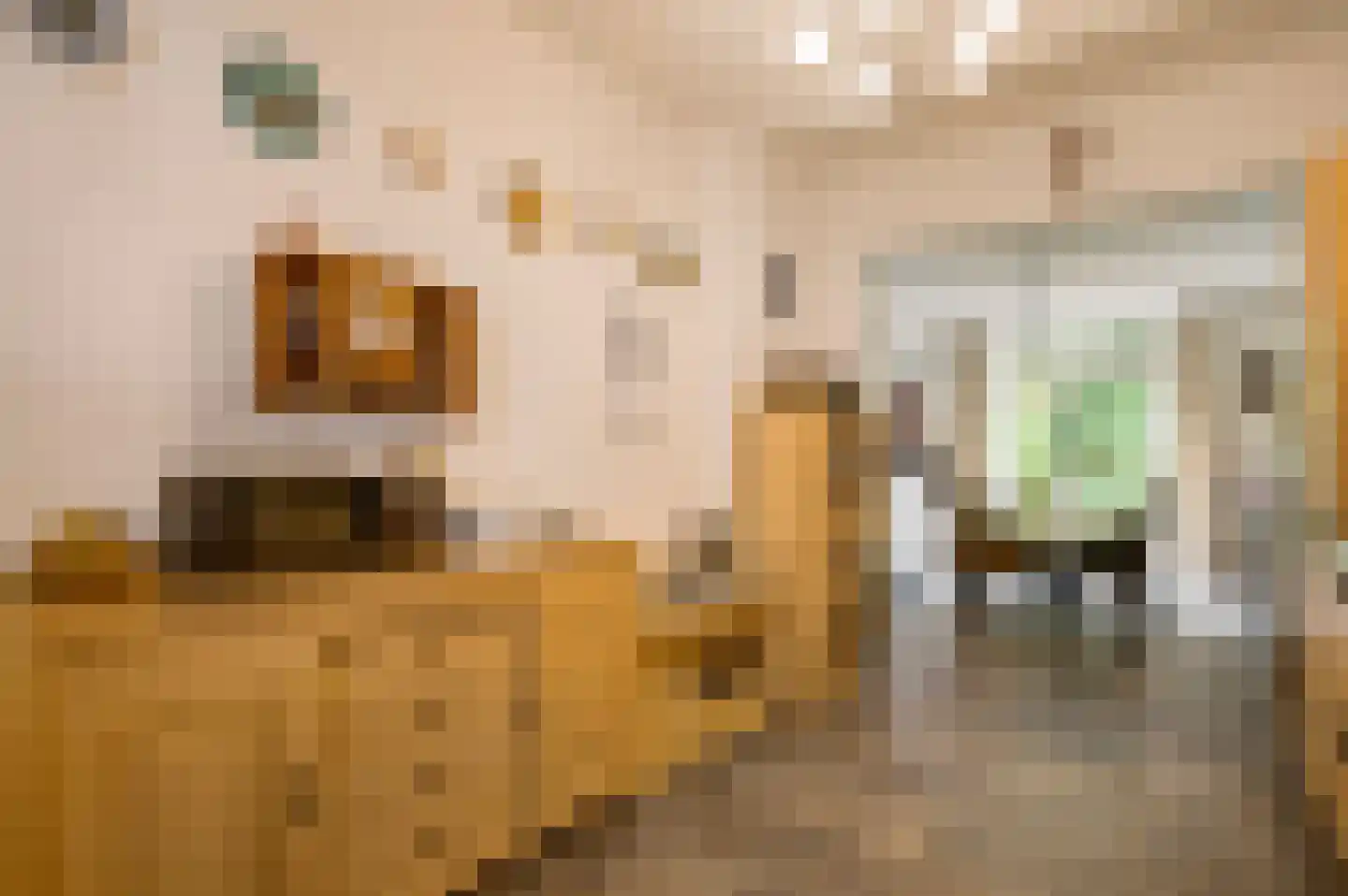 Wervelstraat 30 Horst thumbnail 24