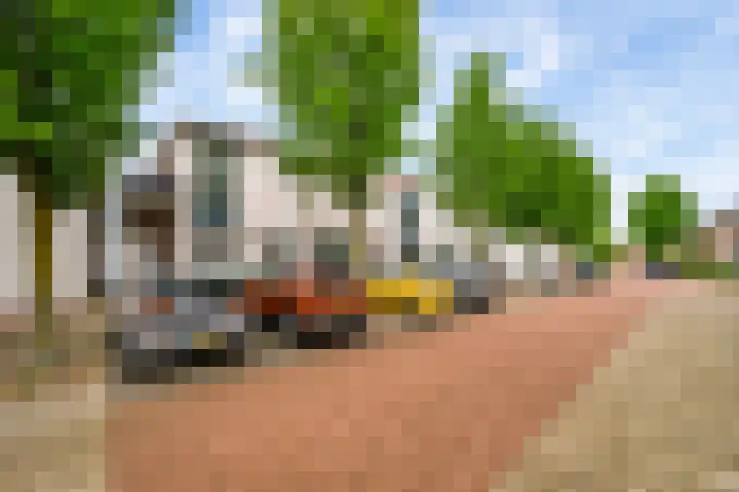 Wervelstraat 30 Horst thumbnail 7
