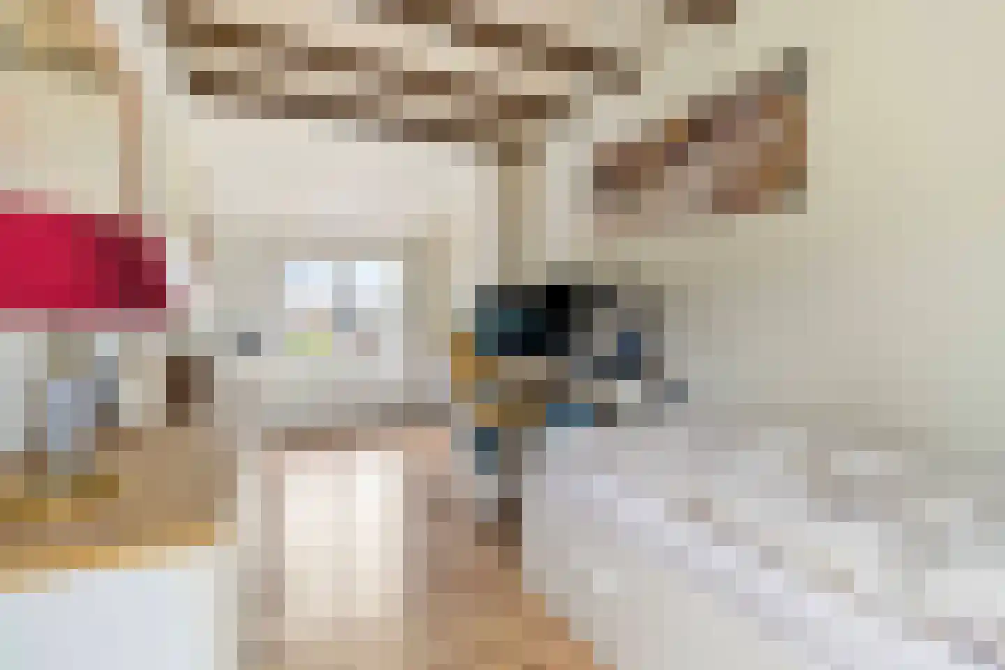 Wervelstraat 5 Horst thumbnail 27