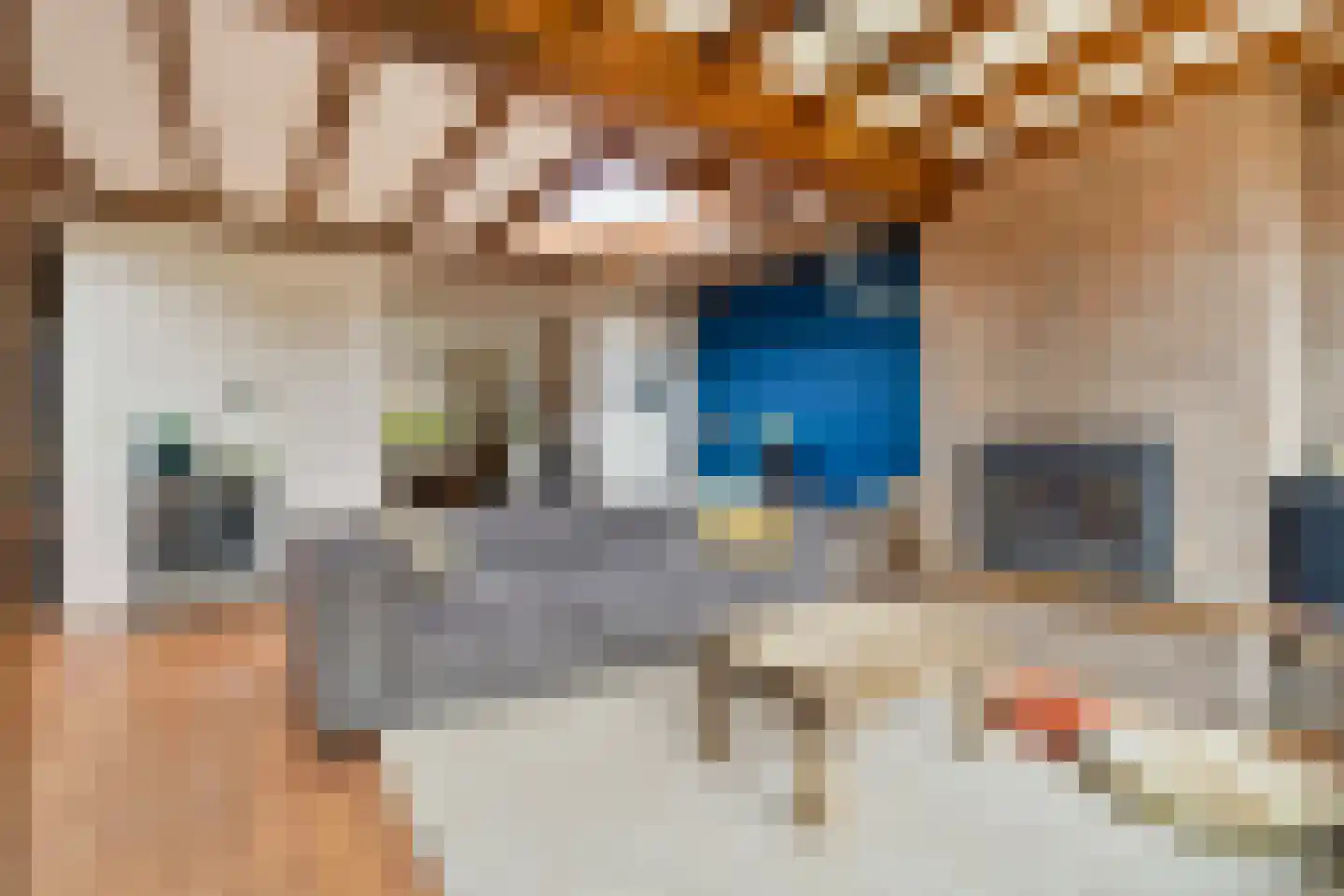 Wervelstraat 5 Horst thumbnail 7