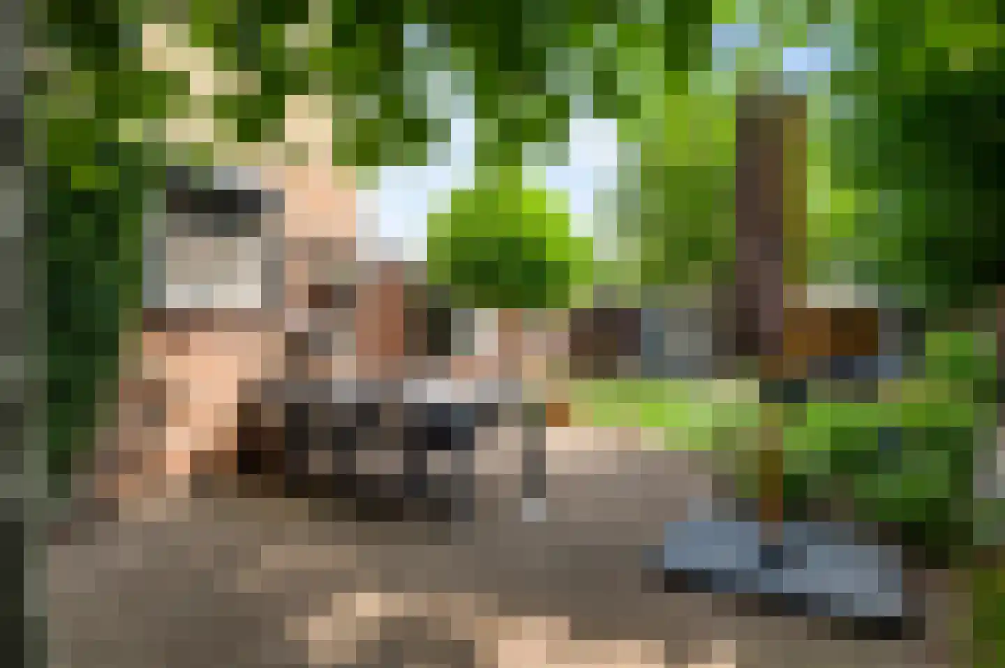 Wervelstraat 9 Horst thumbnail 34
