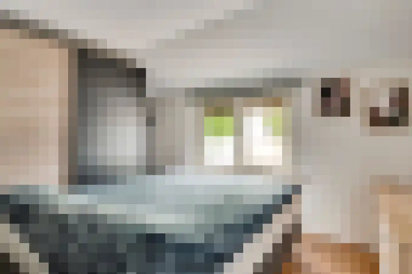 Wervelstraat 9 Horst thumbnail 50