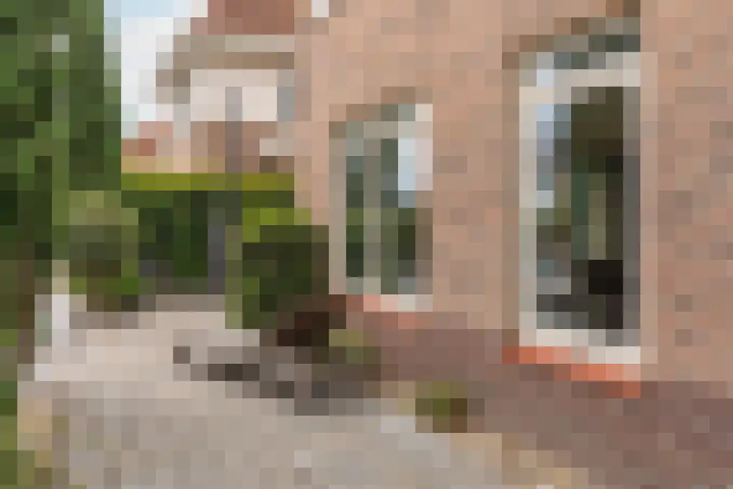 Werven 55 Aalsmeer thumbnail 20