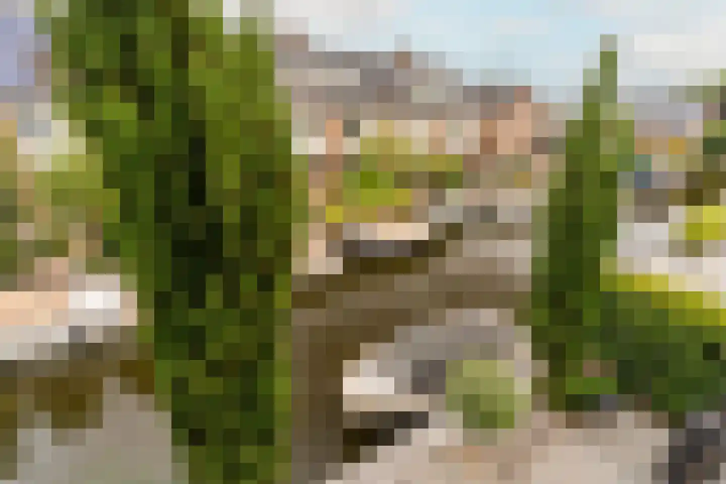 Werven 55 Aalsmeer thumbnail 21