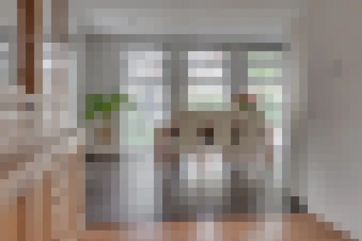 Werven 55 Aalsmeer thumbnail 9