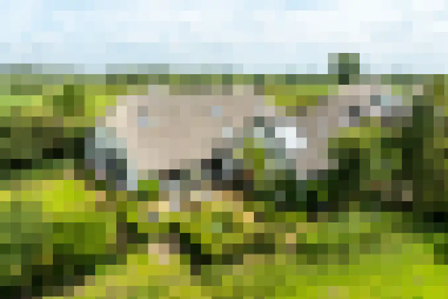 Werverdijk 18 Wapenveld