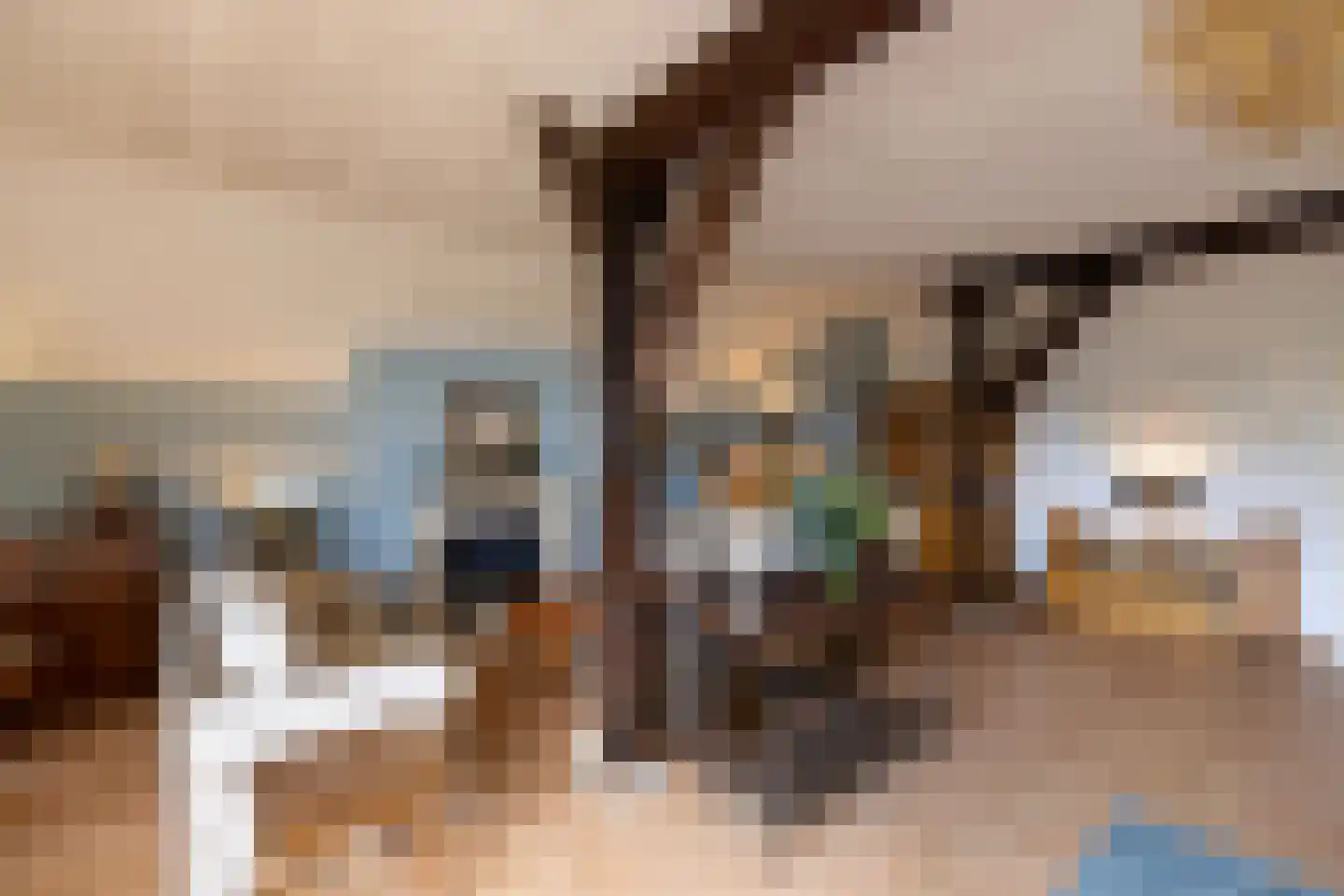 Werverdijk 18 Wapenveld thumbnail 11