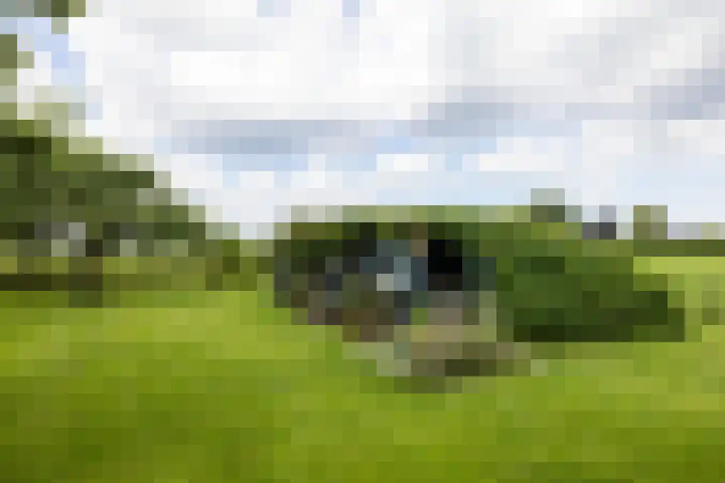 Werverdijk 18 Wapenveld thumbnail 24