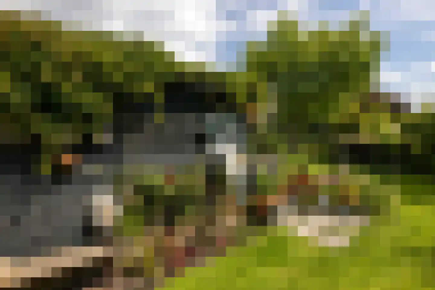 Werverdijk 18 Wapenveld thumbnail 25