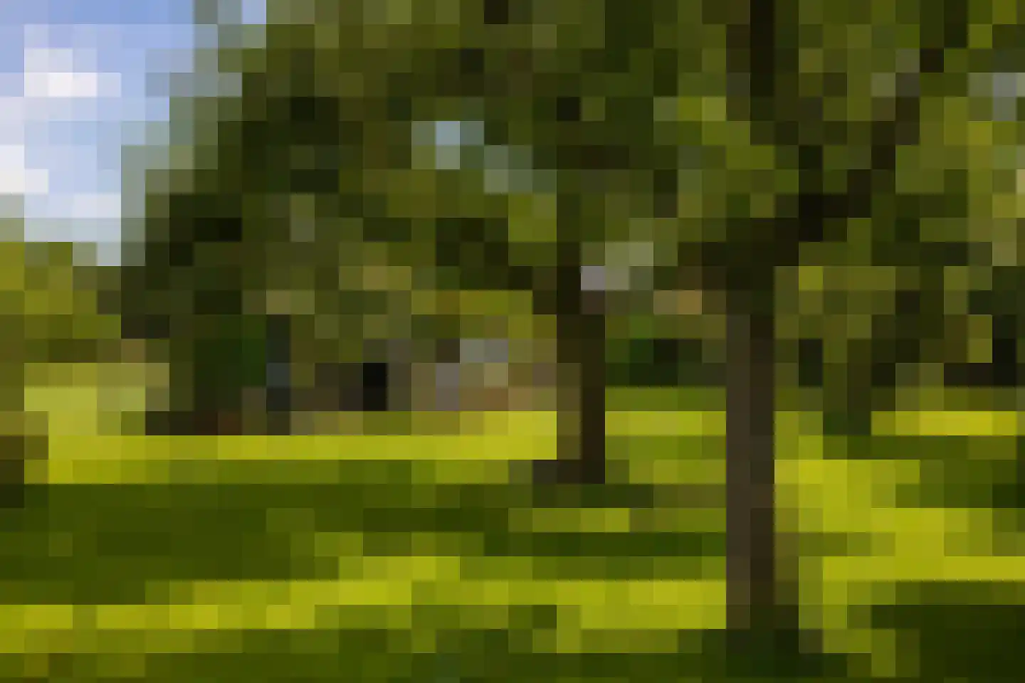 Werverdijk 18 Wapenveld thumbnail 27