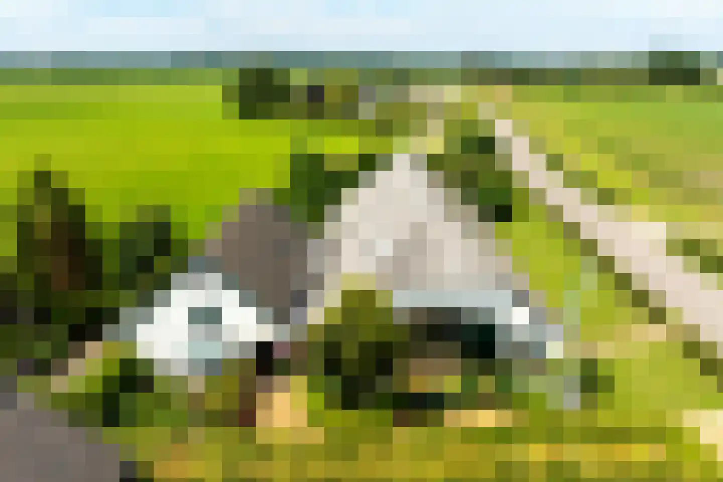 Werverdijk 18 Wapenveld thumbnail 29