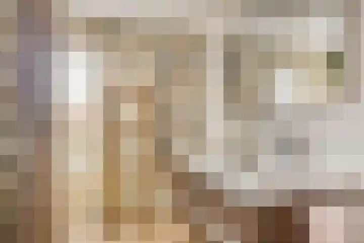 Wervershoofstraat 30 Amsterdam thumbnail 22