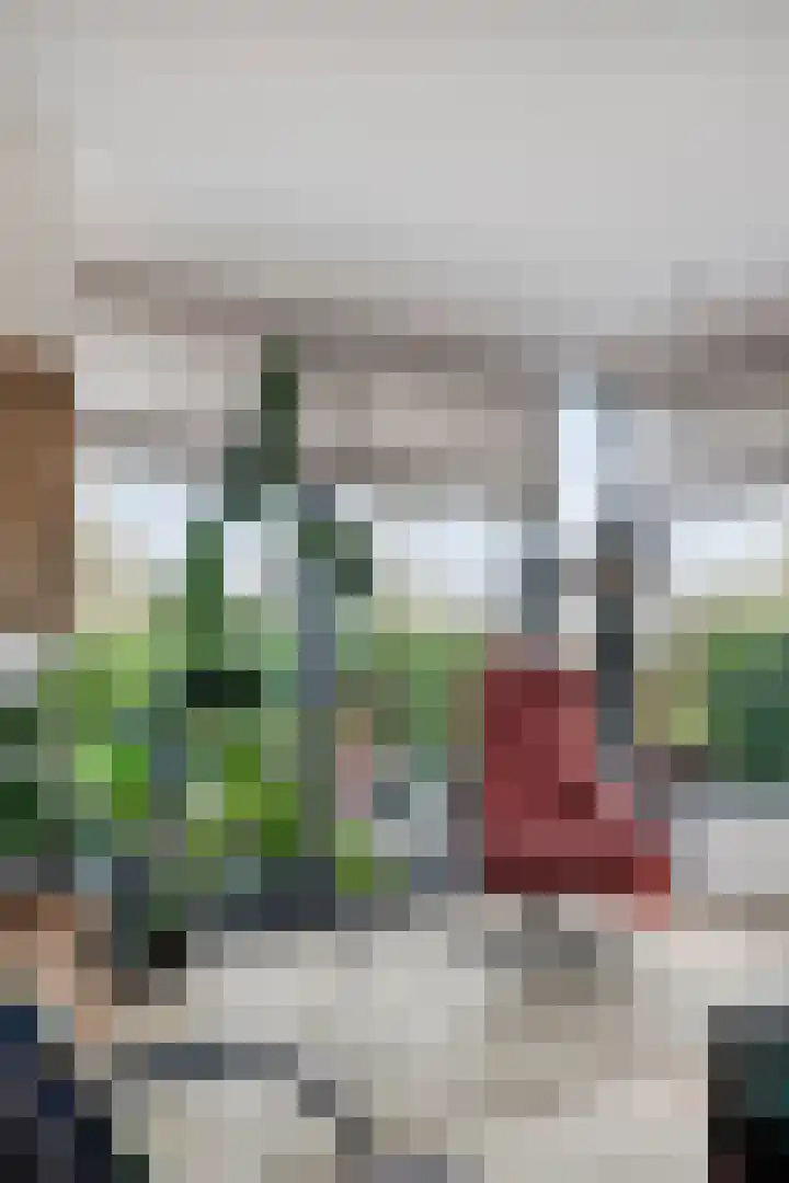 Werverweg 8 Wapenveld thumbnail 20