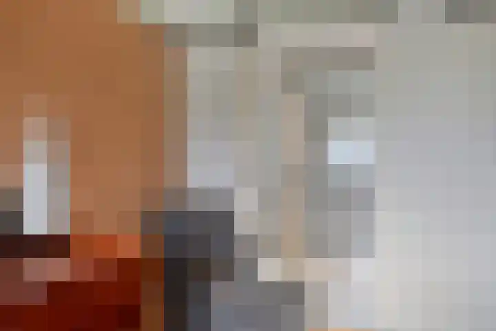 Werverweg 8 Wapenveld thumbnail 33