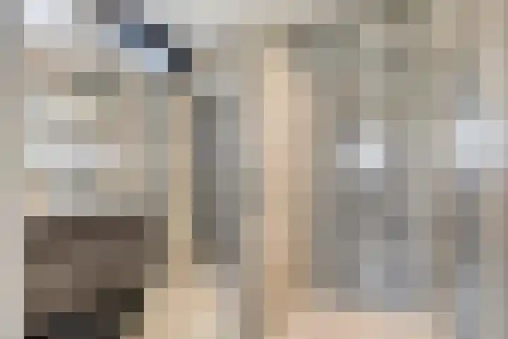 Werverweg 8 Wapenveld thumbnail 34