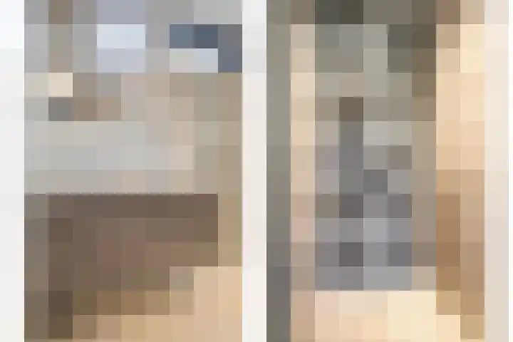 Werverweg 8 Wapenveld thumbnail 35