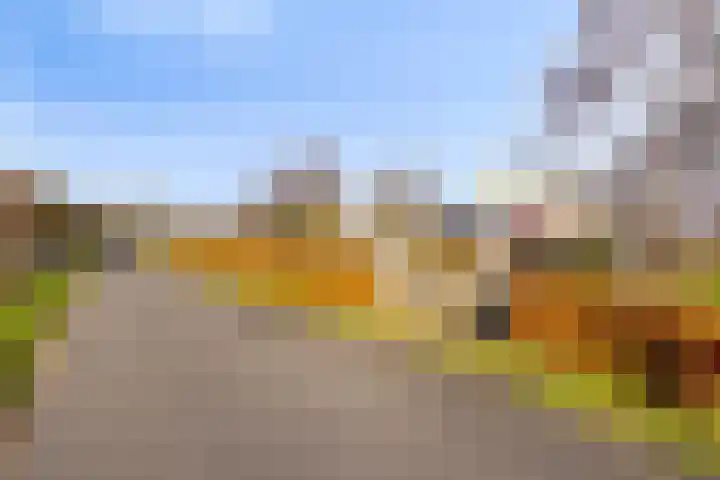 Werverweg 8 Wapenveld thumbnail 4