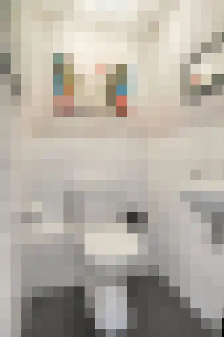 Werverweg 8 Wapenveld thumbnail 42