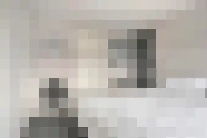 Werverweg 8 Wapenveld thumbnail 44